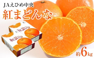 【先行予約】【2025年12月上旬から順次発送】JAえひめ中央【紅まどんな】化粧箱2箱 6kg 愛媛 みかん 紅マドンナ 紅まどんな 蜜柑 柑橘 果物 贈答 愛媛のみかん くだもの フルーツ 愛媛県 松山市