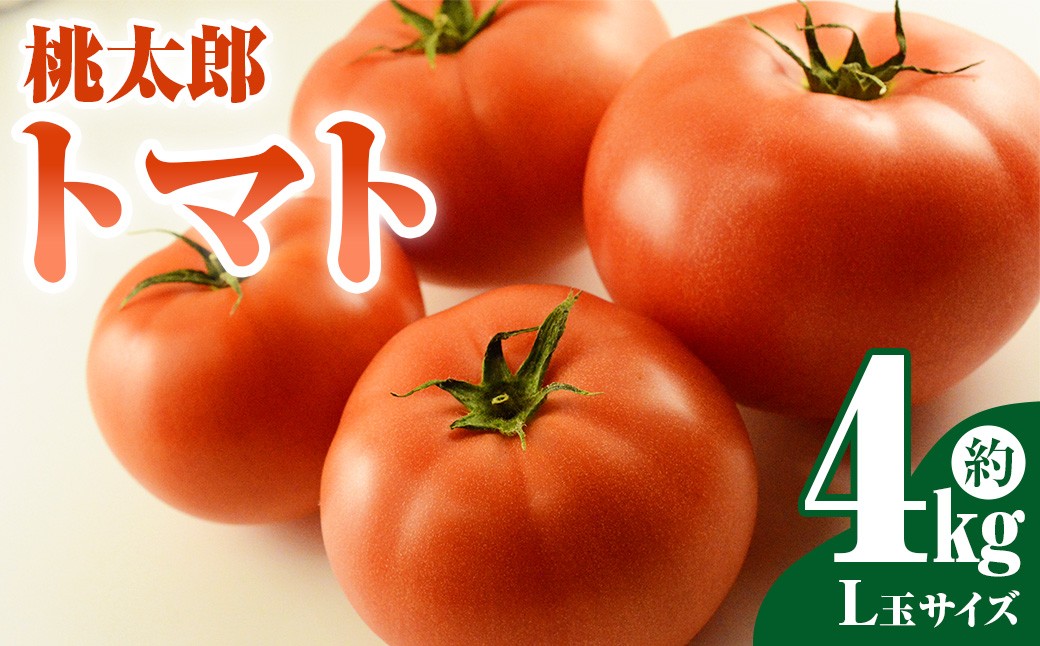 
                  桃太郎トマト L玉 4kg 【2026年5月上旬～6月下旬発送予定】  ／ トマト とまと 桃太郎 野菜 やさい 甘味 酸味 旨味 山梨県産 国産 山梨県 中央市 常温
                