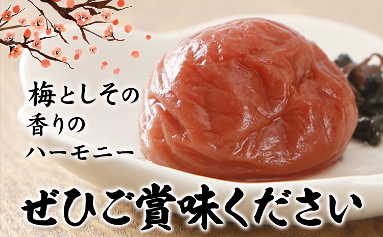 梅干し 甘口しそ梅干し 1kg 中玉 2L 和歌山県産 株式会社とち亀物産 《30日以内に出荷予定(土日祝除く)》 和歌山県 日高町 梅 うめ しそ 梅干し うめぼし 紀州南高梅 漬物 漬け物 ごはん