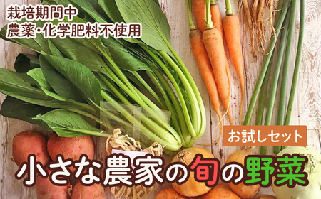 旬の野菜セット　お試し　野菜 野菜詰め合わせ おまかせ 新鮮 旬の野菜 愛知県 豊橋市