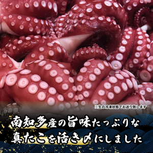 南知多産 活〆生真ダコ 800g 2匹 まると水産