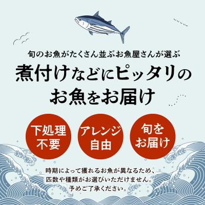 ふるさと納税 天草市 【指定日必須】煮付けコース_S121-002A |  | 01