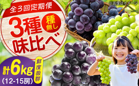 【全3回定期便】3種の沼隈ぶどう定期便 各2kg [BAEV003] ピオーネ ニューベリーA シャインマスカット