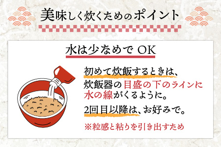 令和5年度産 福井県産新ブランド米 いちほまれ 10kg（5kg×2袋）[B-002027]