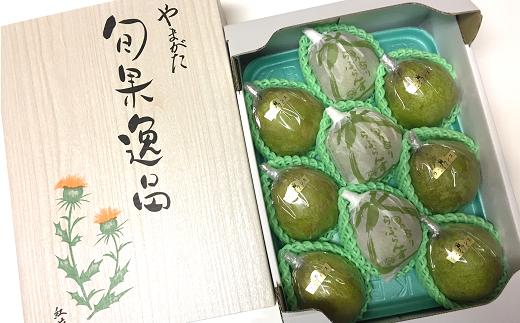 【令和6年産先行予約】【R6市農業祭最優秀賞受賞】 ラ・フランス 約3kg (6～9玉 特秀)  《令和6年11月上旬～発送》 『長谷部農園』 洋梨 梨 果物 フルーツ 山形県 南陽市 [1208]