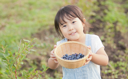 【数量限定】庄内産 冷凍ブルーベリー 2kg　K-633