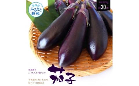 茄子（1本約70g）約20本入り - 高知県産 芸西村 ナス なす 野菜 新鮮 お取り寄せ 美味しい 煮浸し 味噌汁 麻婆茄子 料理 ふるさとのうぜい 故郷納税 7000円 返礼品 高知県 高知