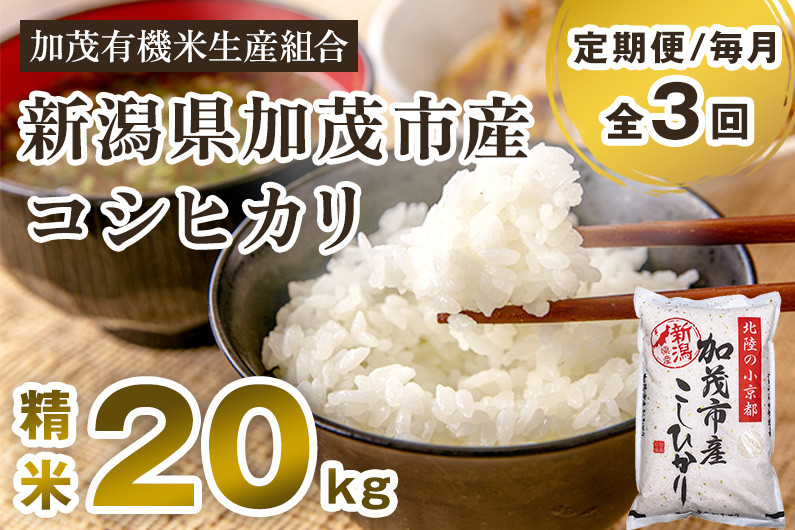 
            【令和7年産新米先行予約】【定期便3回毎月お届け】新潟県加茂市産コシヒカリ 精米20kg（5kg×4） 《10月中旬から順次出荷 》 白米 加茂有機米生産組合 定期便
          