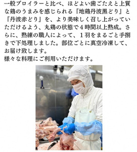 【6回定期便】鶏肉 地鶏丹波黒どり・丹波赤どり 訳あり鶏肉