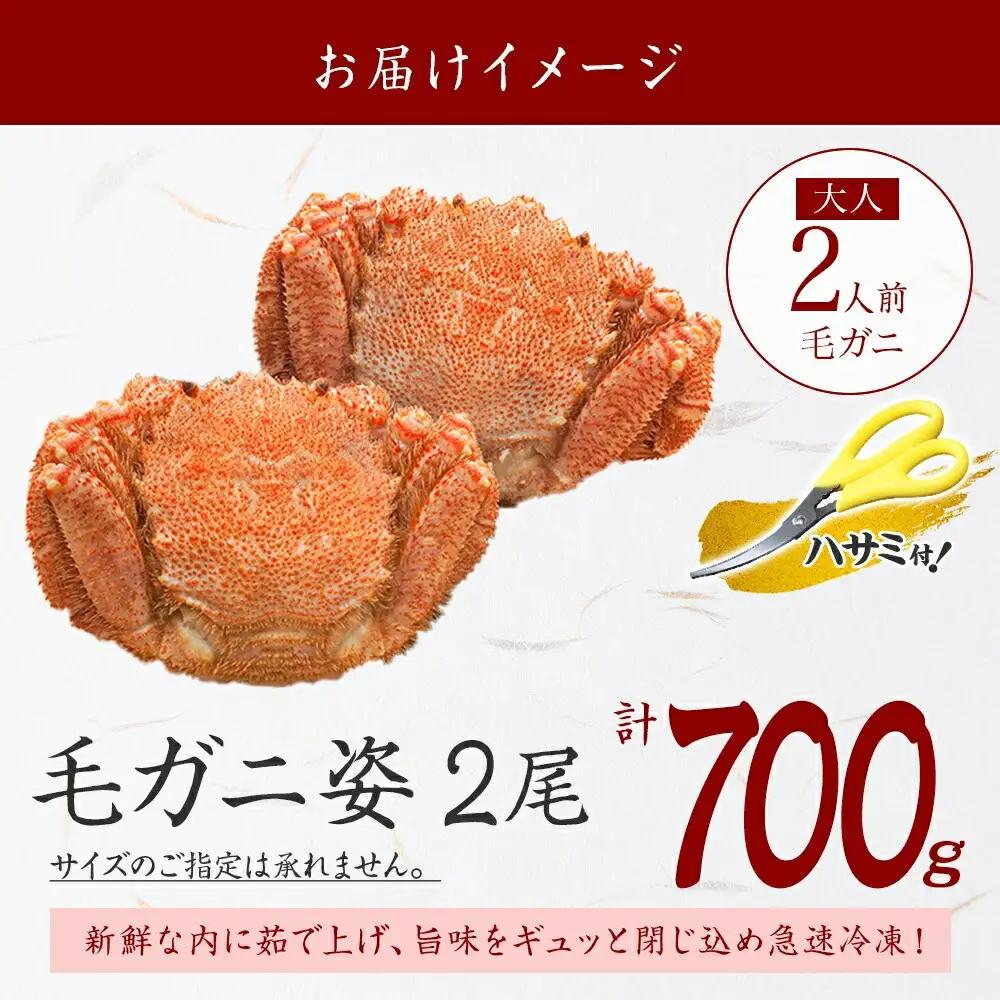 毛蟹 2尾 計700g前後 食べ方ガイド・専用ハサミ付 カニ かに 蟹 海鮮 北海道加工 ボイル 送料無料 北海道 弟子屈町 3334