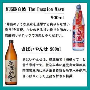【本格焼酎】心地よい酔いごこち!地元酒屋セレクトの焼酎6銘柄【第2弾】 C0-77【配送不可地域：離島】【1682262】