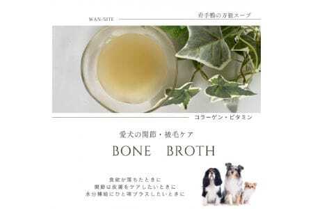 【無添加・ドッグフード】 鴨のボーンブロス レトルト スープ 480ml (160ml×3袋) | 株式会社wan-site | 国産 手作り 無添加 わんちゃん 犬 ペットフード おやつ ペット用品 ペット ヘルシー 高タンパク 人気 ご褒美 鴨【1497637】