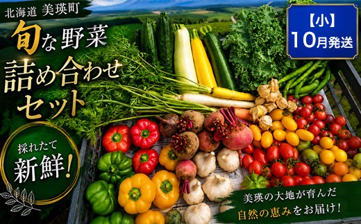 季節の野菜セット【小】10月発送 あらいふぁーむ | 野菜 セット 詰め合わせ 旬野菜 美瑛産野菜 無農薬 多品種野菜 北海道 美瑛 美瑛町 北海道産 美瑛産 10月[017-76]