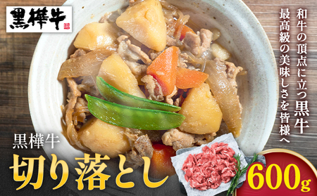 熊本県産 黒毛和牛 牛肉 切り落とし 600g|杉本本店
