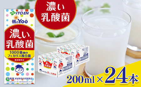朝のＹｏｏ濃い乳酸菌 紙パック ( 200ml × 24本 ) 伊藤園