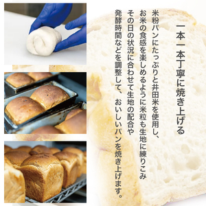 道の駅で売り切れ大人気！モッチリ食感の米粉パン「もち肌美食ぱん」（1.5斤×2本） 米粉 ／Qak-A38