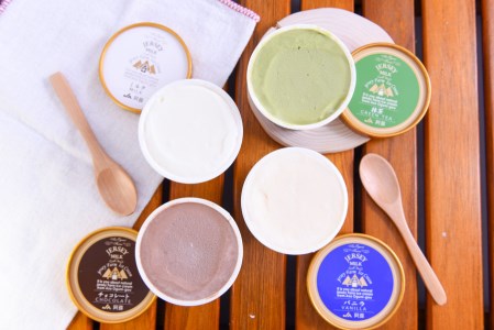 【小国郷特産ジャージー牛乳を使用!】アイスクリームセット(大2個・小8個入り)