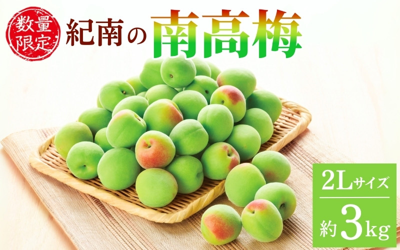 
            【2025年分予約】紀南の南高梅（2Lサイズ）約3kg※2025年5月下旬～6月中旬頃順次発送予定 / 田辺市 果物 果実 くだもの かじつ 梅 青梅 生梅 梅干し うめぼし 梅酒 梅ジュース 梅シロップ 手作り 自家製 新鮮 【okw003】
          