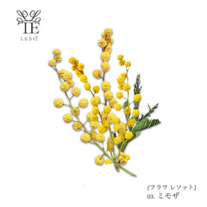 本物の花の香り リード・ディフューザー【ミモザ】