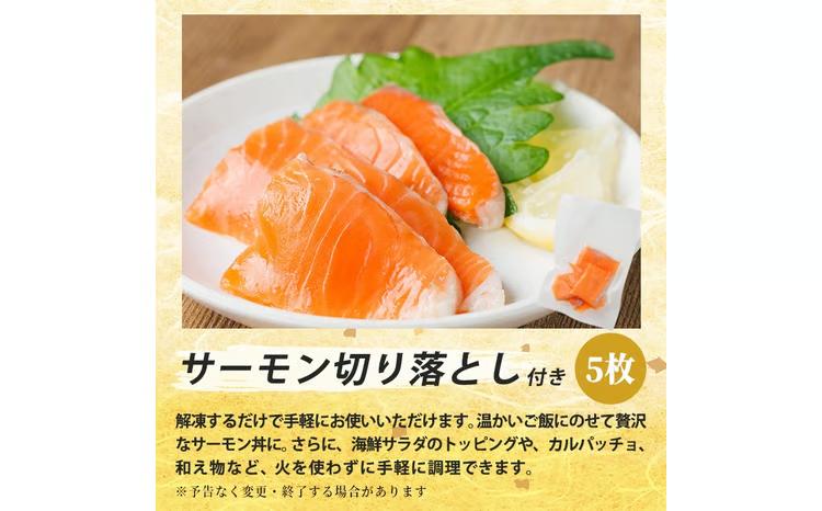 生食用 サーモン ブロック(計1.5kg・250g×6P)サーモン切り落とし5枚付き 鮭 小分け 真空 パック 冷凍 刺身 シャケ サケ 魚 魚介 【AW-101】【丸正水産】