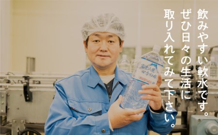 水　 富士山麓 四季の水 500ml 24本入×2ケース 計48本 富士山の天然水を使用 / ミネラルウォーター 水 お水 天然水 軟水 飲料 飲料水 ペットボトル 生活必需品 消耗品 備蓄 備蓄水 