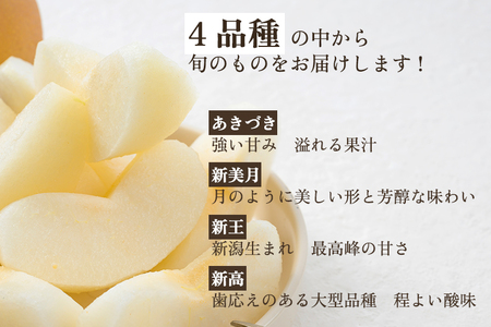 旬の和梨とシャインマスカット詰め合わせ 合計3kg（和梨2kg シャインマスカット2房1kg） 《9月中旬から順次発送開始》 果物 食べ比べ フルーツセット フルーツ ギフト 新潟産 ぶどう 梨 和梨
