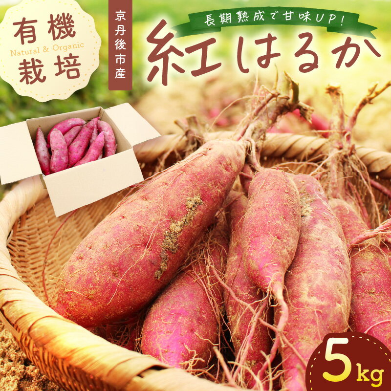 【ふるさと納税】＜ てんとうむしばたけ ＞ 有機 さつまいも( 紅はるか )5kg 先行予約 有機野菜 さつま芋 サツマイモ 薩摩芋 ふるさと納税 野菜 イモ 期間限定 紅はるか 甘い 貯蔵 熟成 オーガニック ねっとり あまい焼き芋 国産 ほくほく 土付き 旬 秋 京都産