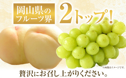 252.【先行予約】 岡山白桃 & シャインマスカット（晴王）セット【配送不可地域あり】 《7月上旬-8月中旬頃出荷》 岡山県 矢掛町 桃 白桃 もも 岡山白桃 シャインマスカット マスカット ぶどう