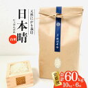 【ふるさと納税】 日本晴 白米 10kg×6回 6ヶ月連続【定期便】 天然にがり栽培 にっぽんばれ 希少 品種 お寿司 ピラフ チャーハン
