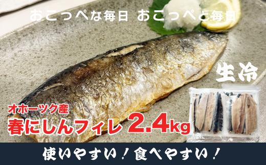 【ワケあり】 ”生冷” 春にしんフィレ2.4kg（オホーツク産・オス無塩）【20034】
