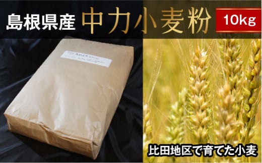 【予約受付】中力小麦粉10kg（農林61号）【うどん 麺 製麺 国産 小麦 小麦粉 麺類 中力粉 比田産小麦 島根県産 島根県 安来市】