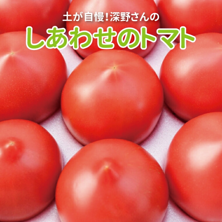 
                  しあわせのトマト箱詰（小） 〈 甘い 美味しい 野菜 ビタミンC 栄養 産地直送 国産 千葉県産 柏市産 おいしい プレゼント ギフト 取り寄せ おすすめ おススメ 大量 王様 ごほうび 〉
                