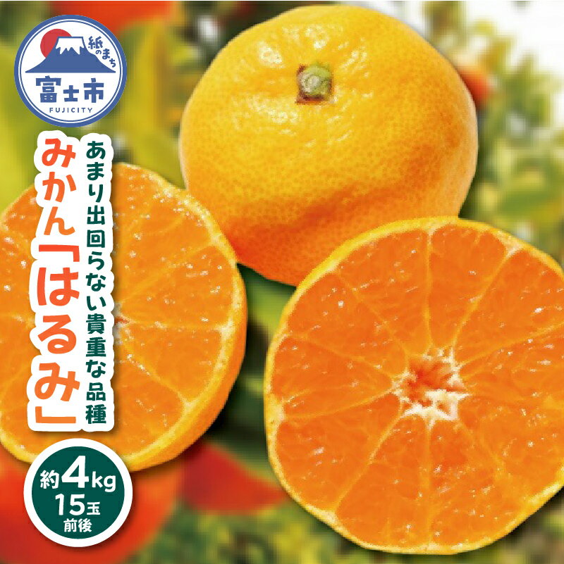 【ふるさと納税】 期間限定 《数量限定》 みかん はるみ 約4kg 15玉前後 貴重品種 プチプチ 弾ける 大粒果肉 ジューシー 旬 食べやすい フルーツ 柑橘 果物 常温配送 静岡県 富士市 [sf001-005]
