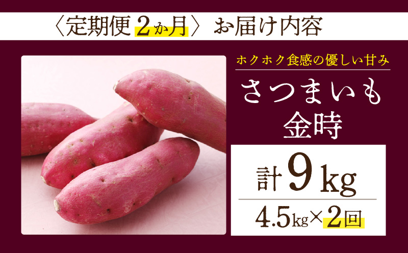【定期便2ヶ月】さつまいも 金時 4.5kg・H130