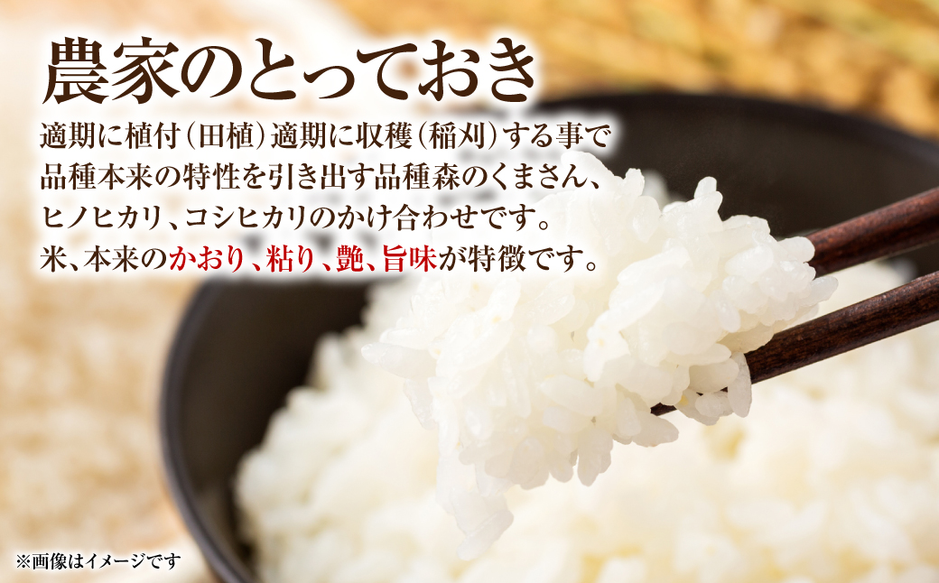 【先行予約】 【定期便6回】 【令和7年産】 熊本県八代市産 森のくまさん 農家のとっておき 5kg×6回 米 お米 精米  国産 白米 ごはん ご飯 【2025年11月上旬より順次発送】