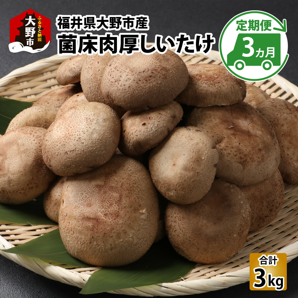 【ふるさと納税】【3ヶ月定期便】菌床肉厚しいたけ（福井県大野市産）1kg×3回 計3kg[B-003013］