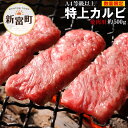 【ふるさと納税】宮崎黒毛和牛＜JAこゆ牛＞カルビ焼肉 計500g 感謝盛り A4等級以上 ブランド牛 宮崎県産 冷凍 和牛 牛肉 国産 送料無料