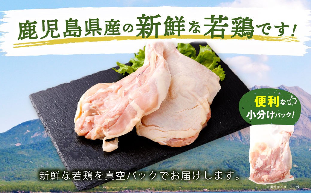 鹿児島県産 骨付きもも 10本セット