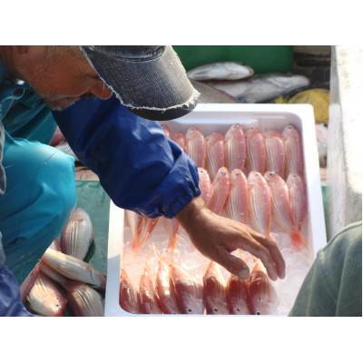 ふるさと納税 佐世保市 レンジでうまか〜高島の地魚姿煮つけ |  | 02