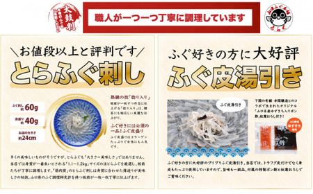 (10031)ふぐ 刺身 てっさ ふぐ刺し とらふぐ 刺身 2人前（とらふぐ刺身60g ふぐ皮湯引き40g ポン酢・薬味付き）冷凍 きらく 長門市