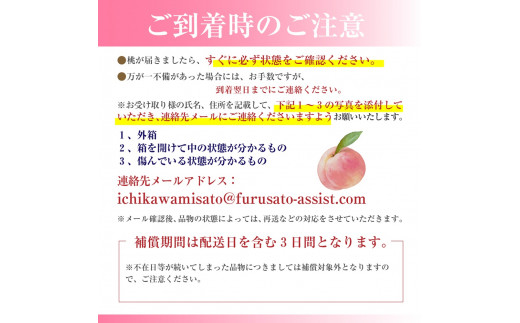 糖度13度以上の甘い桃 2kg箱（6～8玉入）2025年7月上旬から発送　山梨みらい農業協同組合[5839-0004]