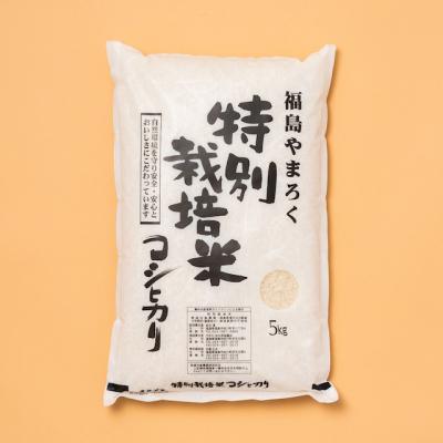 ふるさと納税 福島市 やまろく商店【令和7年産】特別栽培コシヒカリ 精米5kgNo.1943