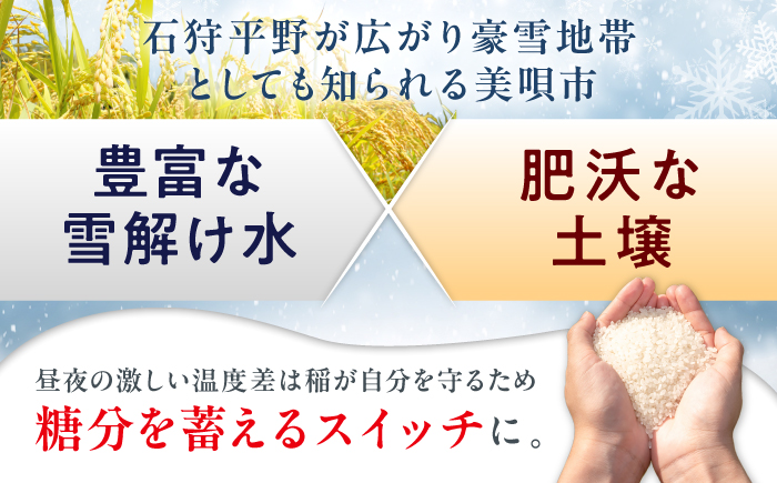 【令和8年産先行予約】 北海道米 食べ比べセット 10kg ゆめぴりか ななつぼし | 2026年11月以降順次発送 | 白米 お米 米 北海道産 コメ | 株式会社松原米穀 [BOCG059]