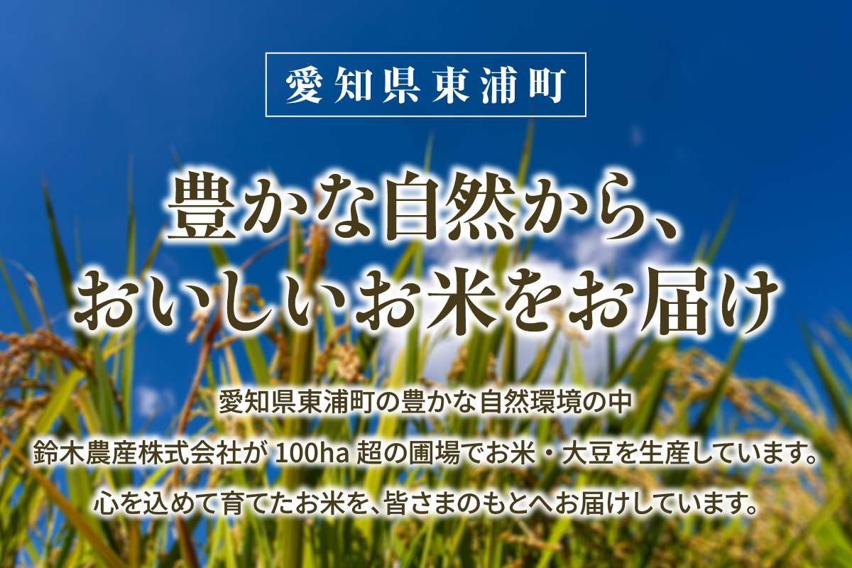 【無洗米】東浦町産　あいちのかおり　約5kg│産地直送 愛知県産 東浦町