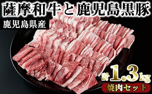 
No.423 薩摩和牛と鹿児島黒豚の焼肉セット(合計1.3kg・肩ロース バラ焼肉用500g、モモもしくはカタ焼肉用 400g、黒豚バラ焼肉用 400g)国産 九州産 和牛 黒豚 豚肉 ロース 肩肉 カタ バラ 焼肉【さつま屋産業】
