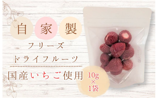 メルカドレグメス　フリーズドライフルーツ　いちご ／ フリーズドライフルーツ フリーズドライ フルーツ 果物 くだもの いちご イチゴ 苺 自家製