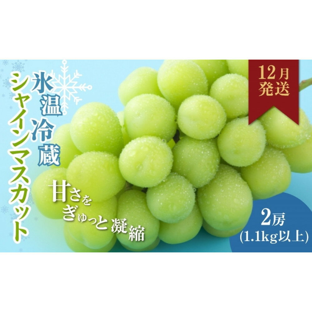 【ふるさと納税】信州やなぎさわ農園果逢　信州産シャインマスカット（12月発送）　冷蔵2房(合計1.1kg以上)大粒&大房 | 果物 ぶどう フルーツ 冷蔵 人気 おすすめ 大粒 大房 糖度 甘い ギフト 産地直送 高級 送料無料 長野県 長野市 信州 信濃