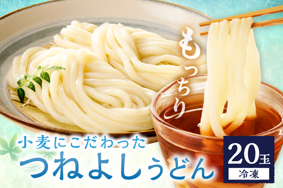 京丹後つねよしの冷凍うどん 20玉入り（20食分）　KI00030