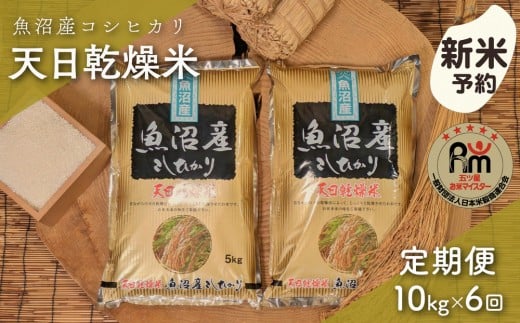 【新米予約】【毎月定期便】令和７年産「五つ星お米マイスター」厳選　天日干し魚沼産コシヒカリ　精米10kg（5kg×2個）×６回