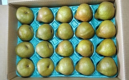 ラ・フランス　５ｋｇ　２０～２４玉　特秀・秀品混合　0042-2610